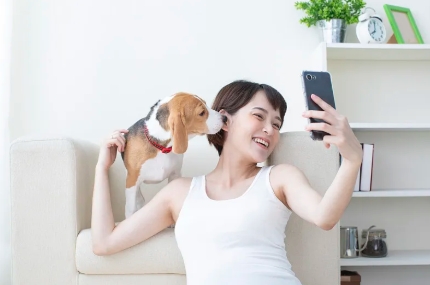 双顶径头臀长辩男女方法是什么.jpg