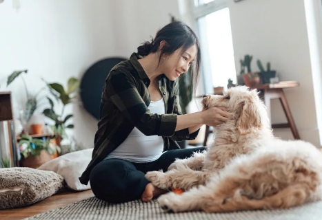 怀孕了有什么不能吃的东西.jpg