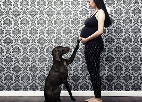 孕期可以中途换生产医院吗.jpg