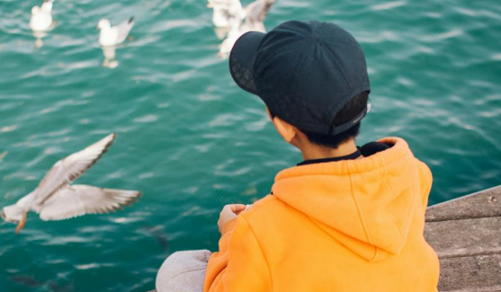 怎样从NT单子上的图像判断宝宝是男是女.png 怎样从NT单子上的图像判断宝宝是男是女.png