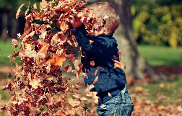 怀男孩与怀女孩的体重增长差异大吗.png 怀男孩与怀女孩的体重增长差异大吗.png