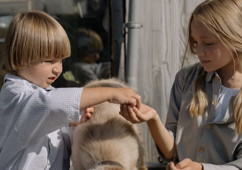 香港化验所检测翻盘和检测设备老旧有关吗.png 香港化验所检测翻盘和检测设备老旧有关吗.png