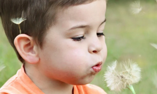 内地孕妇寄血香港验男女要准备什么材料.png 内地孕妇寄血香港验男女要准备什么材料.png