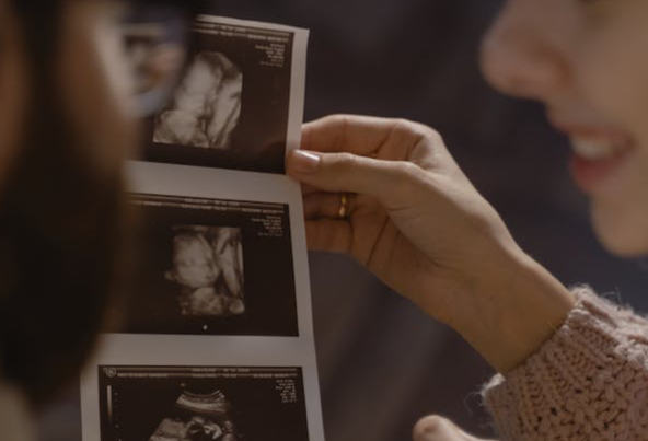 香港验血测男女为何要检测Y染色体片段.png 香港验血测男女为何要检测Y染色体片段.png